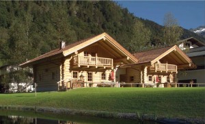 zlati-borovec  